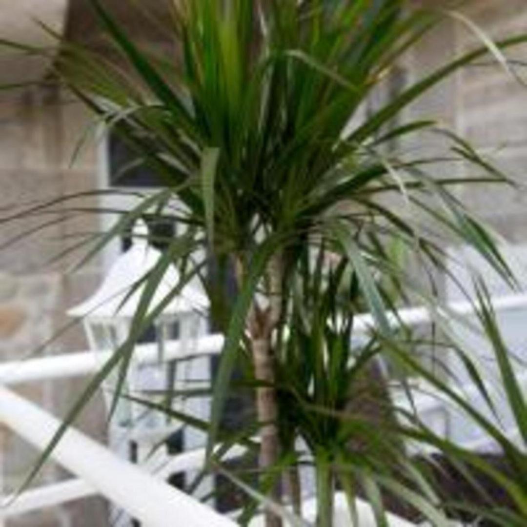 Guestready - Comendador Sto Ildefonso Porto Bagian luar foto